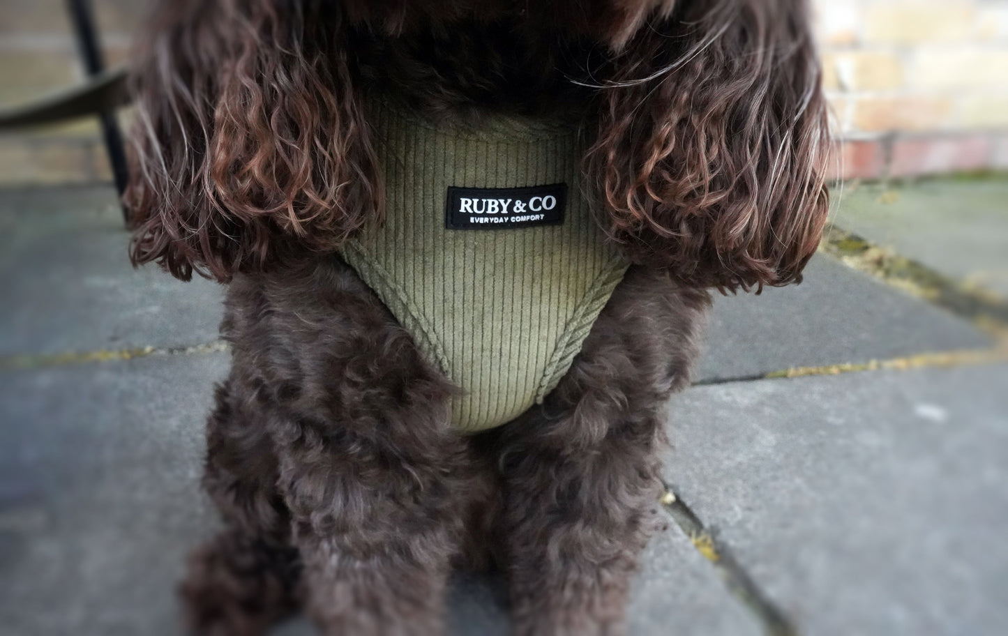 Khaki | Corduroy Harness