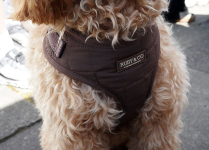 Espresso | Quilted Harness