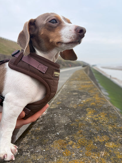 Espresso | Quilted Harness