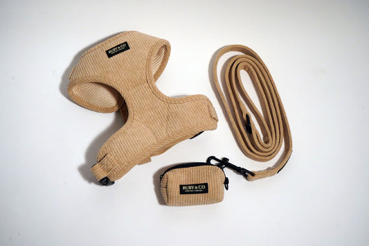 Beige | Corduroy Walk Set