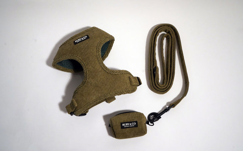Corduroy Walk Set